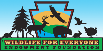 Wildlive For Everyone Endowment Foundation
