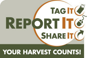 REPORT YOUR HARVEST