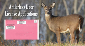 deer antlerless applications application schedule